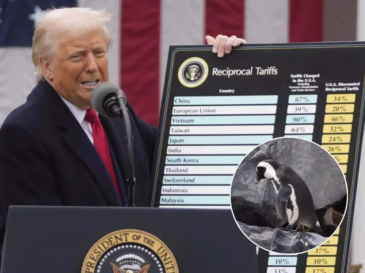 This is the reason why US President Donald Trump has imposed tariffs on(00)