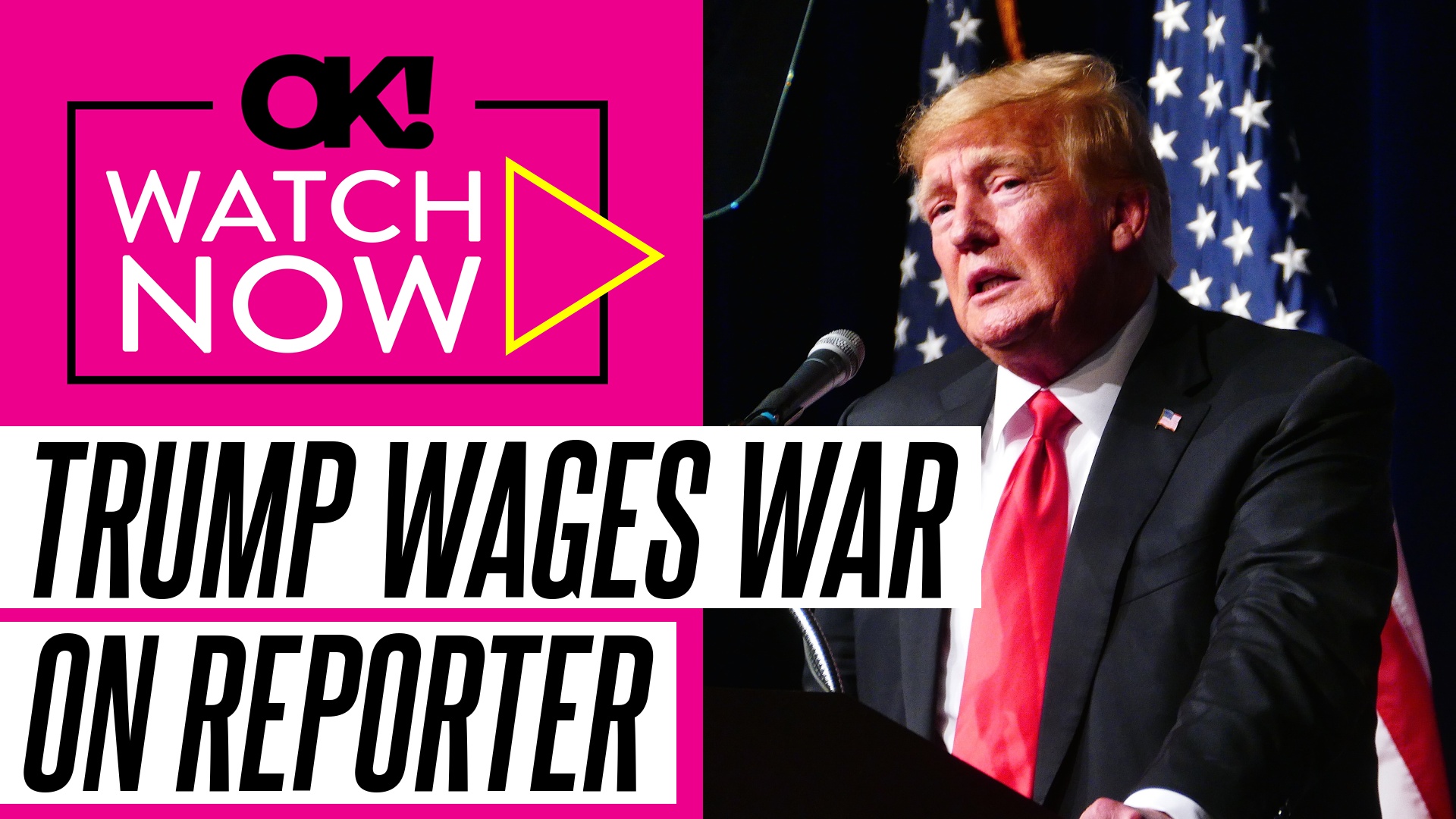 Donald Trump Slams Reporter Investigating His Tariffs Policy: #39 She Asks