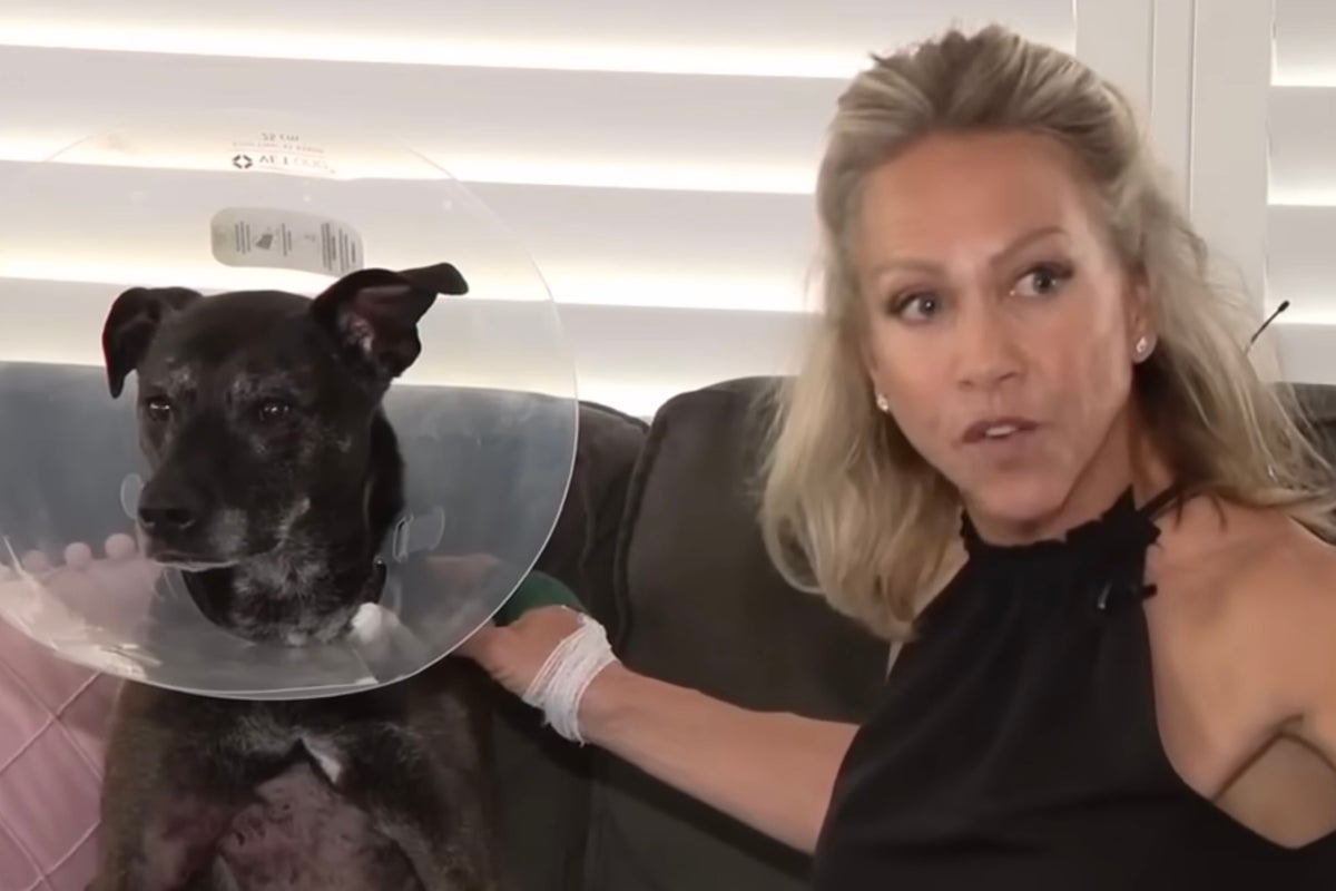 Florida woman saves her pet dog by prying open 7foot alligator’s jaw