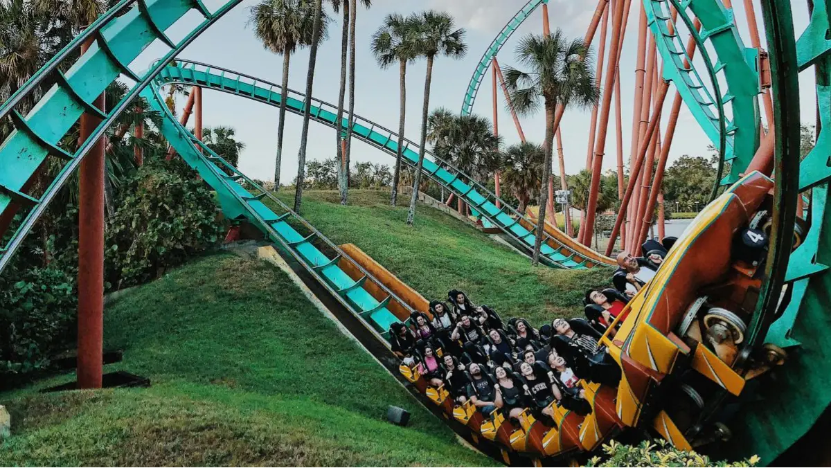 Delhi Woman Dies After Falling From Roller Coaster, Here's What You Can