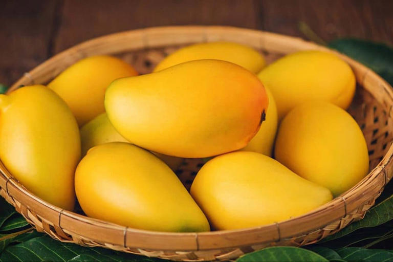 The smooth texture and colourful skin of Alphonso mangoes are highly prized.