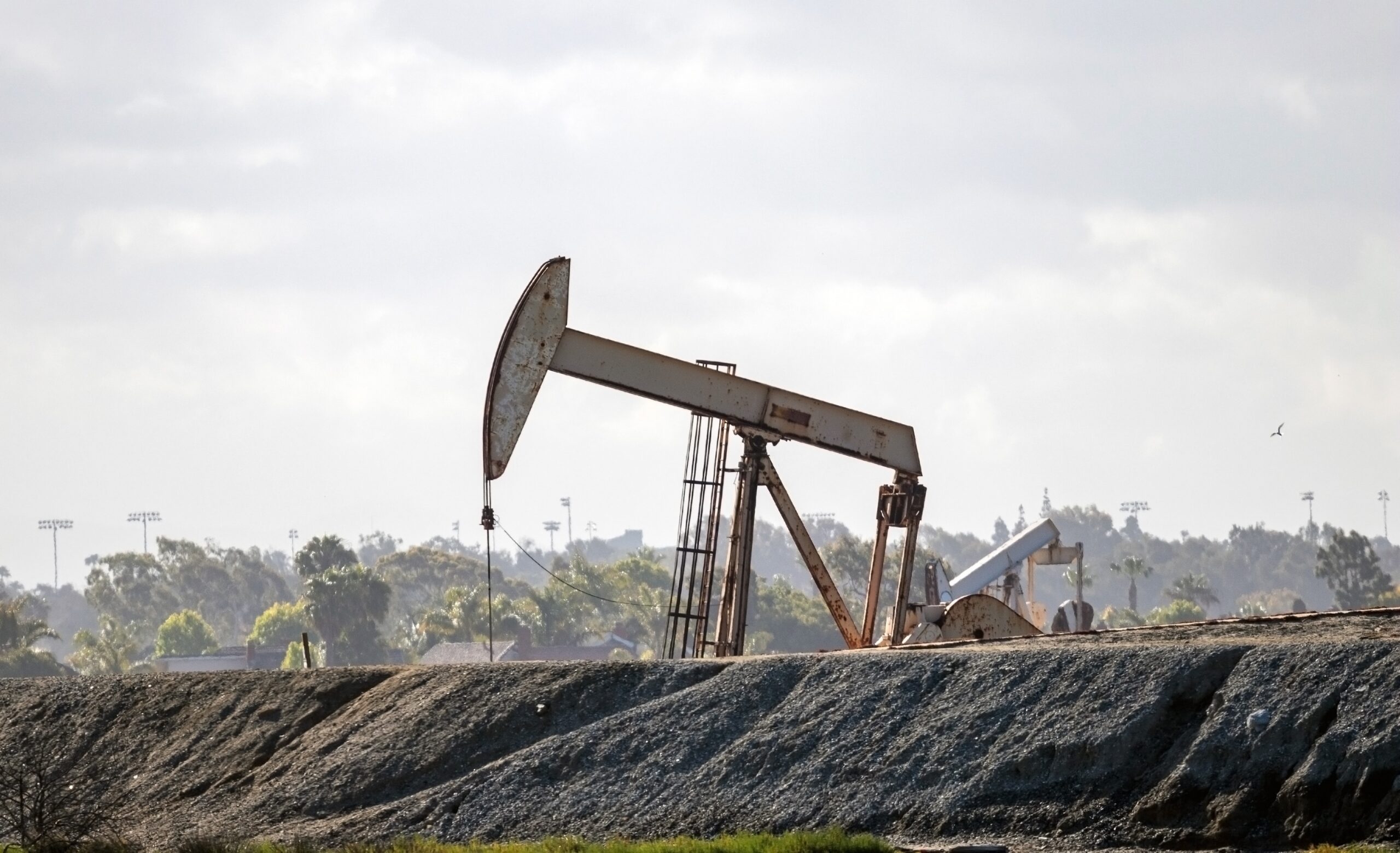 【中古】 原油高騰でザクザク儲かる米国株を狙え！/武田ランダムハウスジャパン/スティーブン・リーブ 中古】 原油高騰でザクザク儲かる米国株を狙え！/武田ランダム