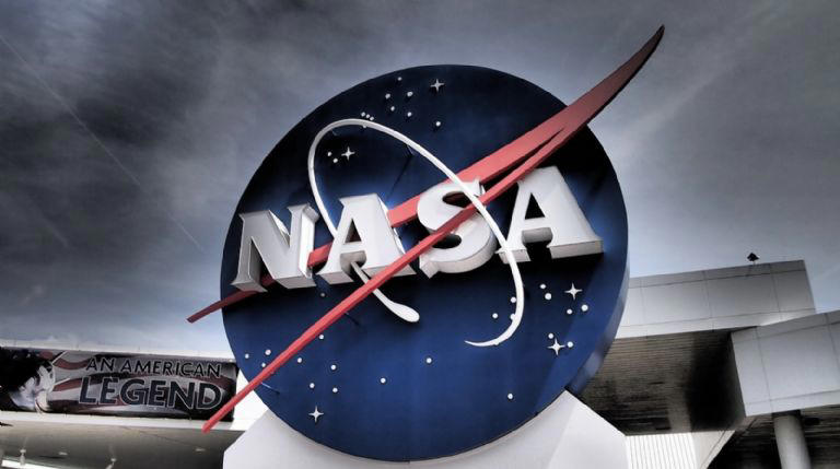 La NASA está preocupada por un experimento en ratones. Foto: Freepik