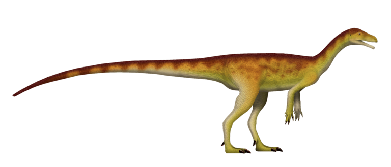 Scientists Might Be Wrong About Where Dinosaurs First Evolved – New ...