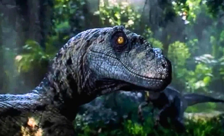 Scientists Might Be Wrong About Where Dinosaurs First Evolved – New ...