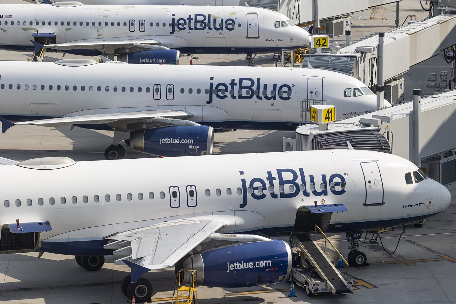 2 teens found dead in JetBlue landing gear ID'd months later with