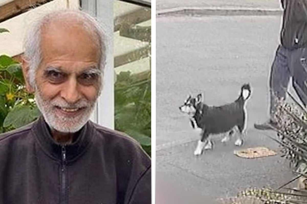 Police share CCTV of pensioner’s final moments before fatal attack as(01)