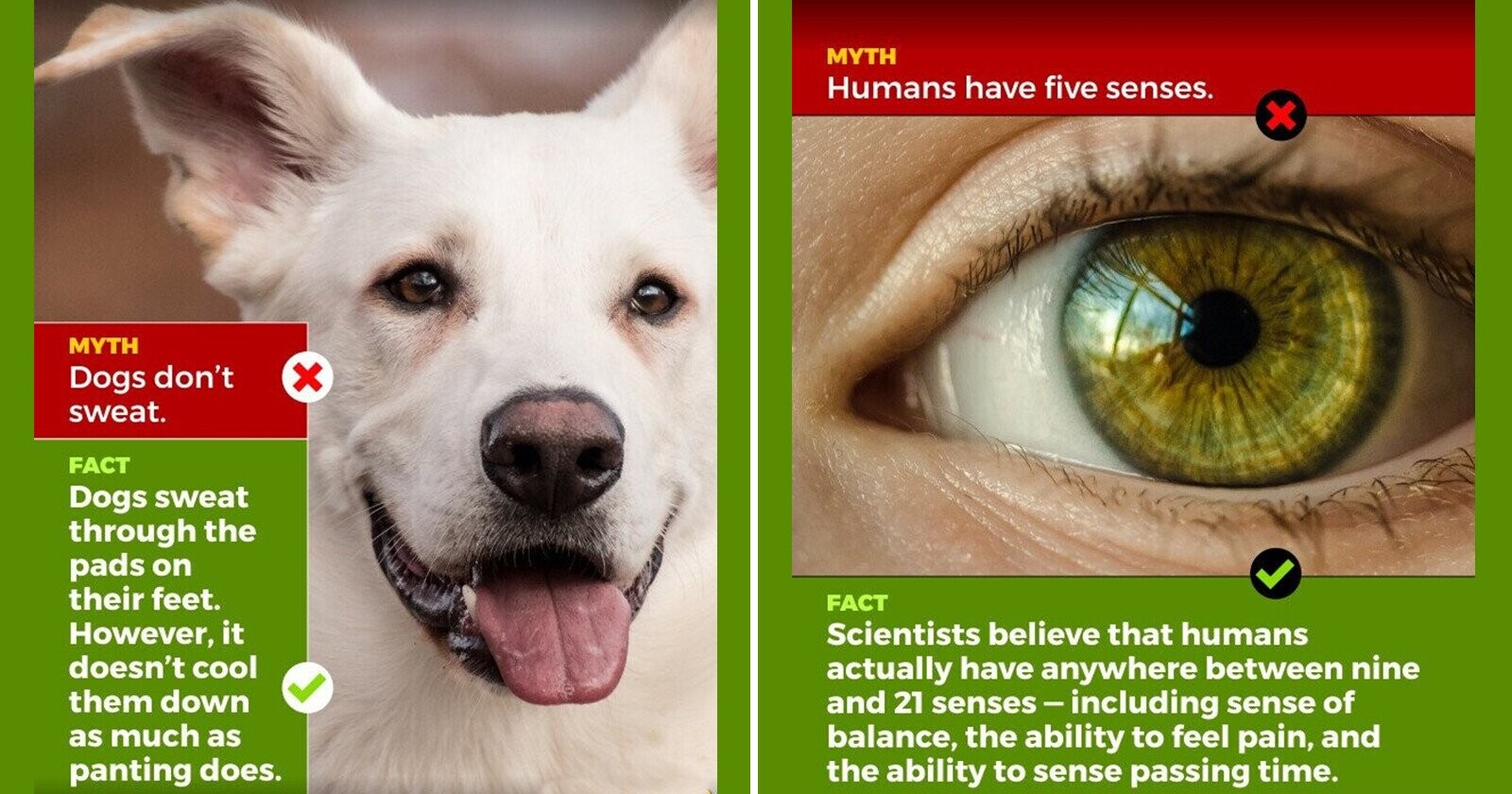 12 Myths We've Busted Wide Open