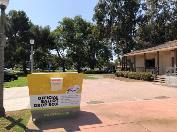 Judge sides with Huntington Beach on voter ID ordinance