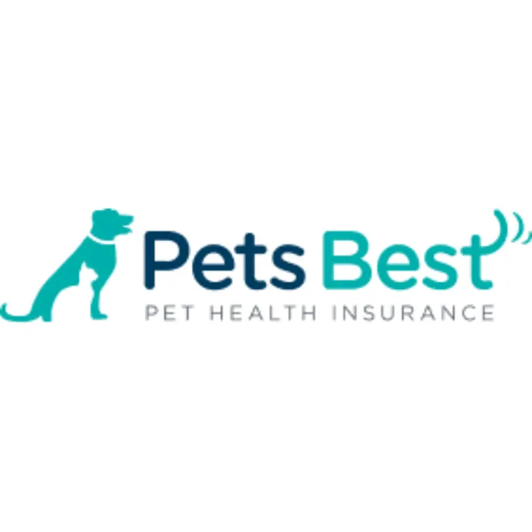 Dental insurance for pets what s covered and how to choose