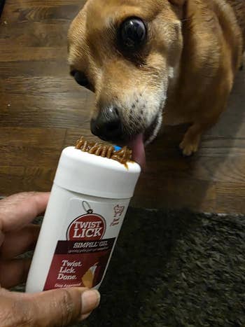31 Amazingly Cool Pet Products That Stunned in 2025