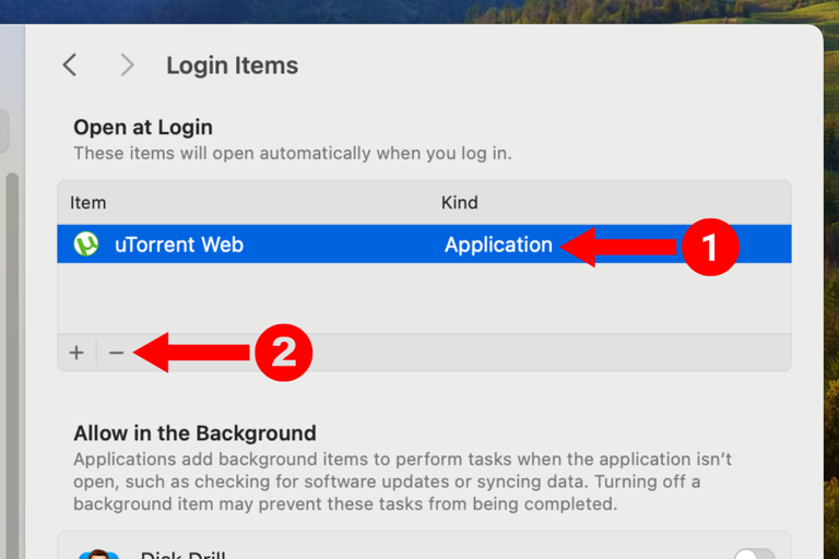 Screenshot of the Login Items menu in the settings of a MacBook with arrows next to an app's name and the minus button.