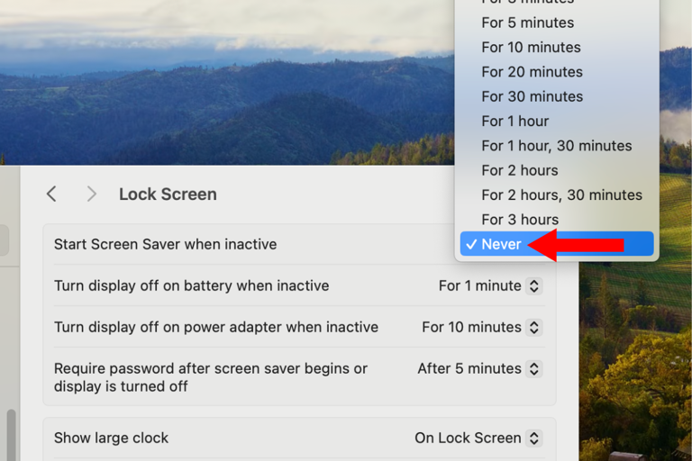 Screenshot of the "Start Screen Saver when inactive" setting on a MacBook with an arrow next to the Never option.