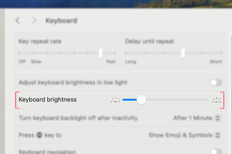 Screenshot of the keyboard brightness slider in the Settings menu of a MacBook.
