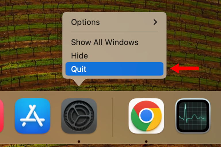 Screenshot of the double-click menu for an app with an arrow next to Quit.