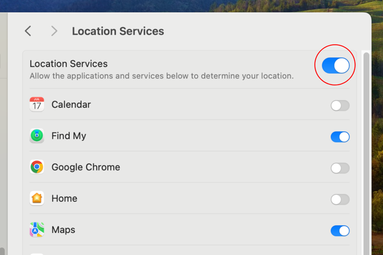 Screenshot of the Location Services toggle in the Settings app on macOS.