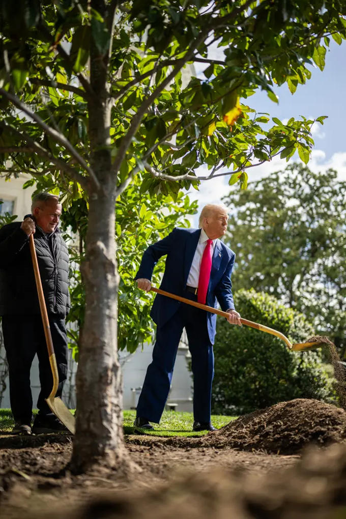Tổng thống Mỹ Donald Trump, 78 tuổi, tham gia trồng cây cùng các nhân vật quan trọng của nước Mỹ. Ảnh: Nhà Trắng