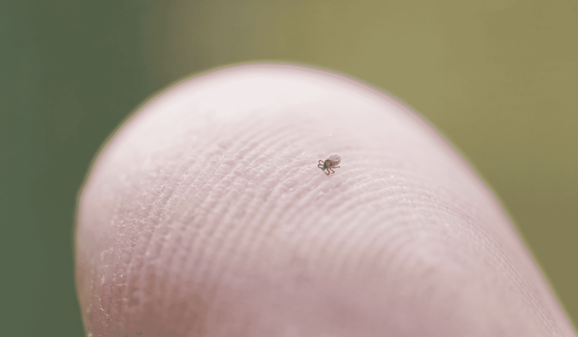 Małą kropkę można pomylić z pieprzykiem. Skutki mogą być katastrofalne