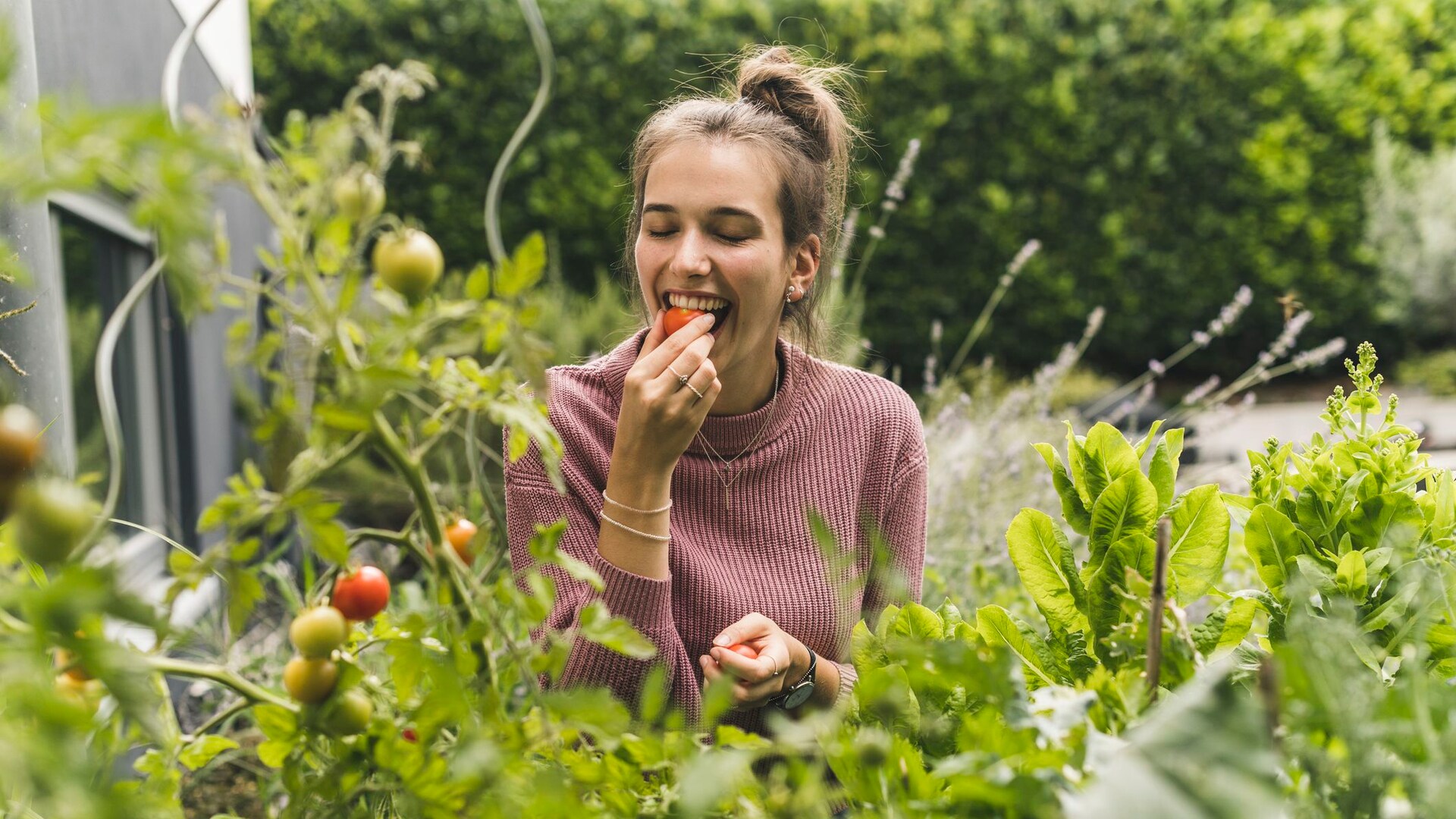 Garten und Balkon: An dieser Pflanze wachsen Tomaten und Kartoffeln