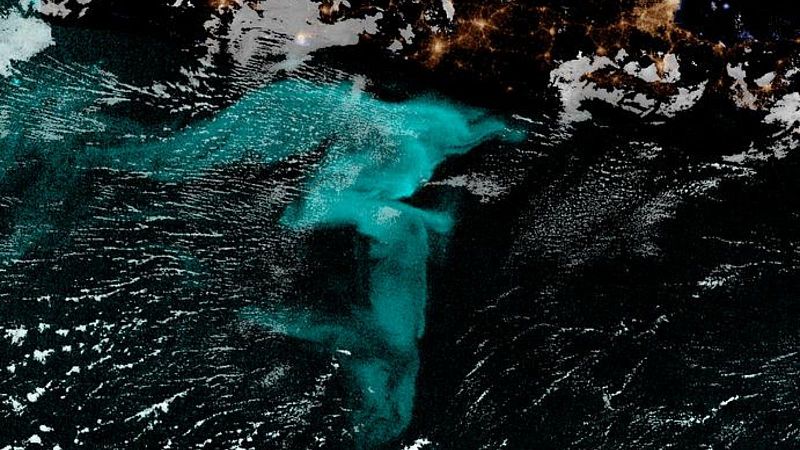 What Are Milky Seas? Tales From the High Seas Unravel Ocean's
Bioluminescent Mystery