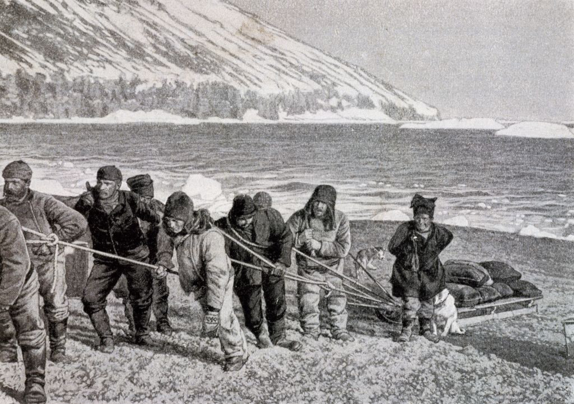 Laatste stop: Antarctica