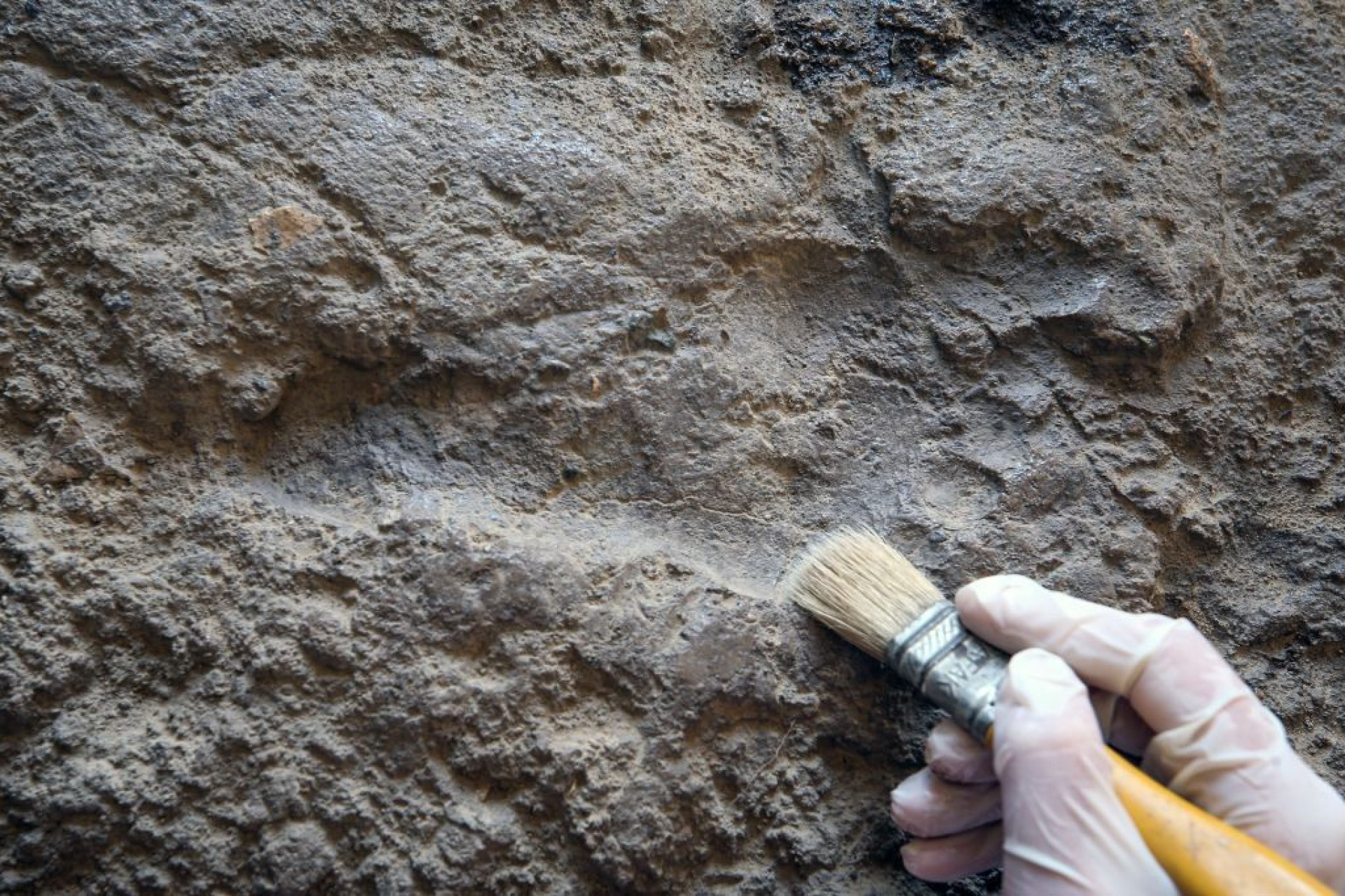 Eerste Noord-Amerikanen