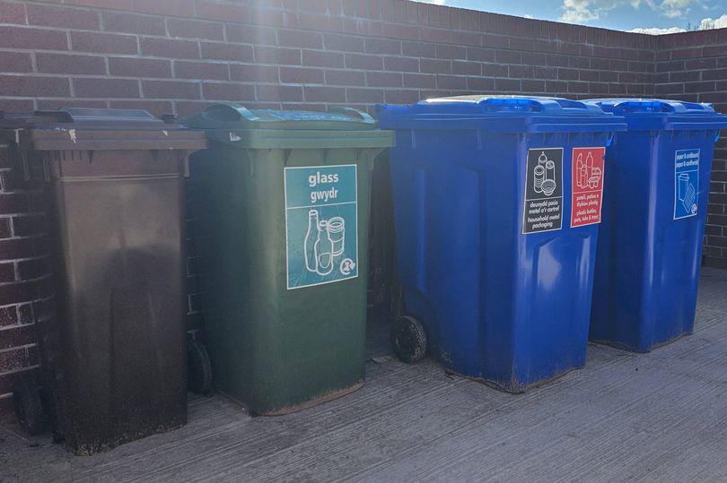 'Our crews do not inspect black bin contents or issue fines'
