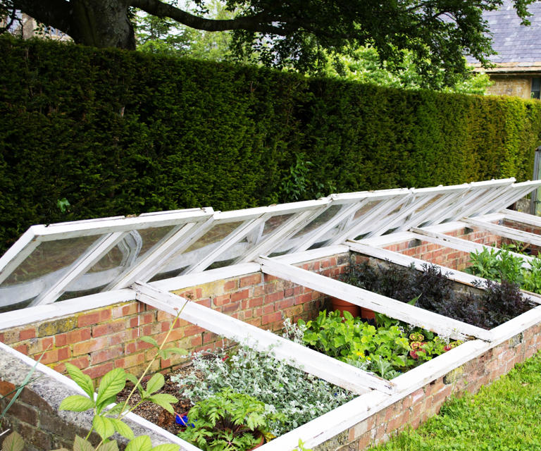 Now is the time to install a cold frame: 5 types to choose from