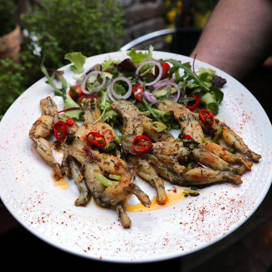 Froschschenkel im Restaurant? – „Ich würde sie nicht mehr auf die Karte ...