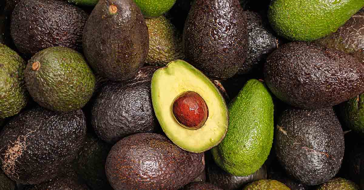 5 Side Effects Of Avocados You Should Be Aware Of