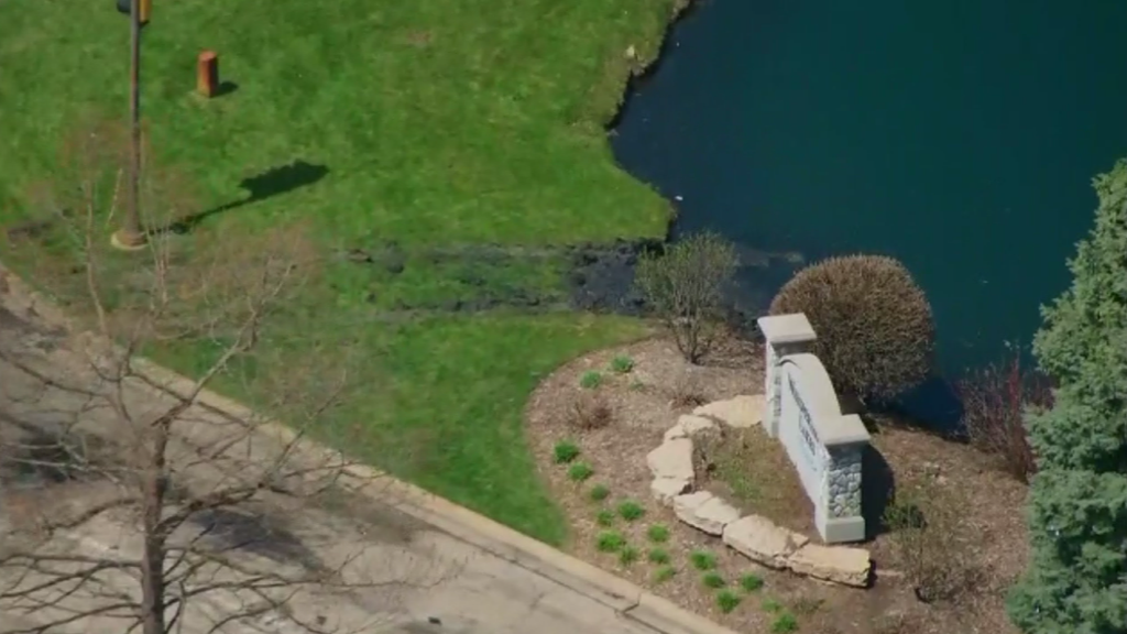 Landscaper rescues driver after car drives into pond in Naperville