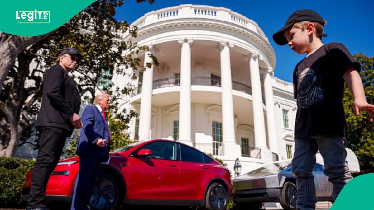 Explore the Unique Worldview: See All 13 of Elon Musk's Children Explore the Unique Worldview: See All 13 of Elon Musk's Children