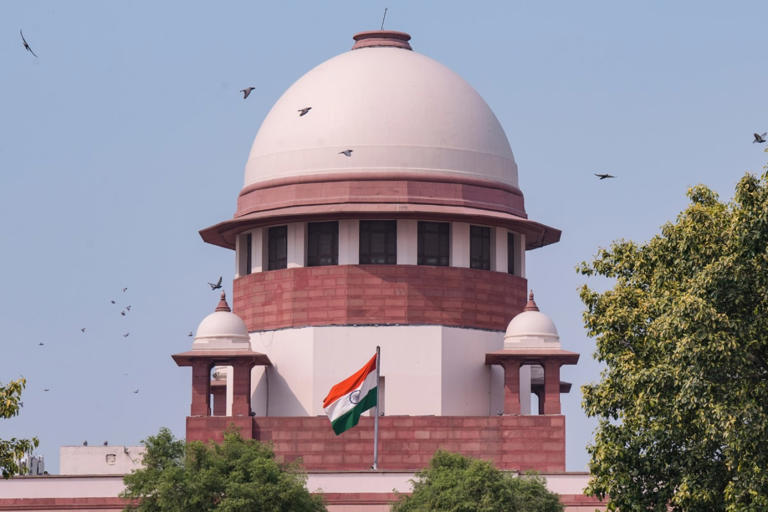 The Waqf (Amendment) Act has been challenged on the grounds that it violates Article 25 of the Constitution. (Representative/PTI File)