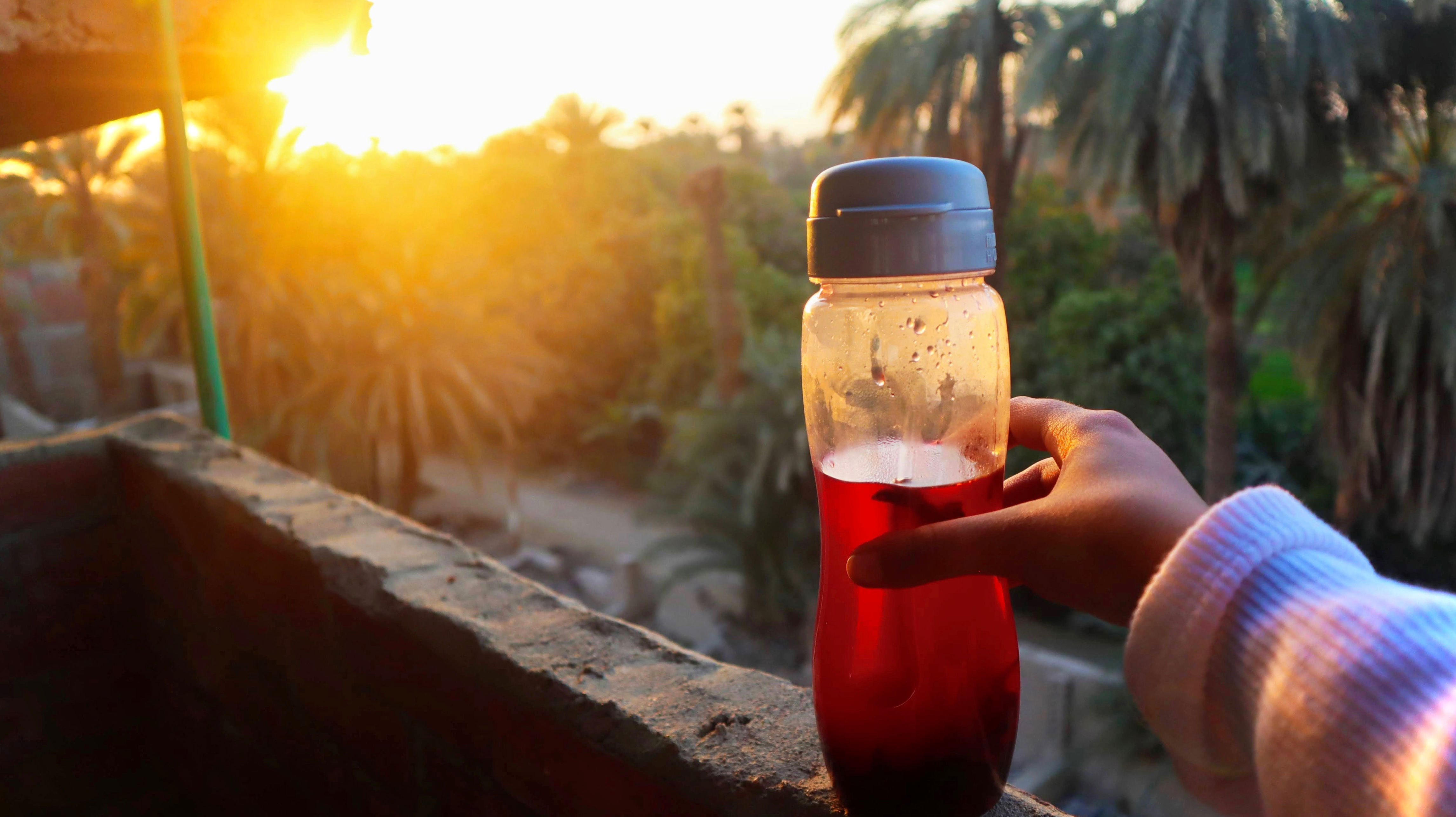 Sasha Limerince's Insane Spending Habits: Where Does All Her Money Go?