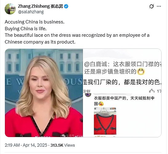 White House critics seize on key detail of Karoline Leavitt's dress