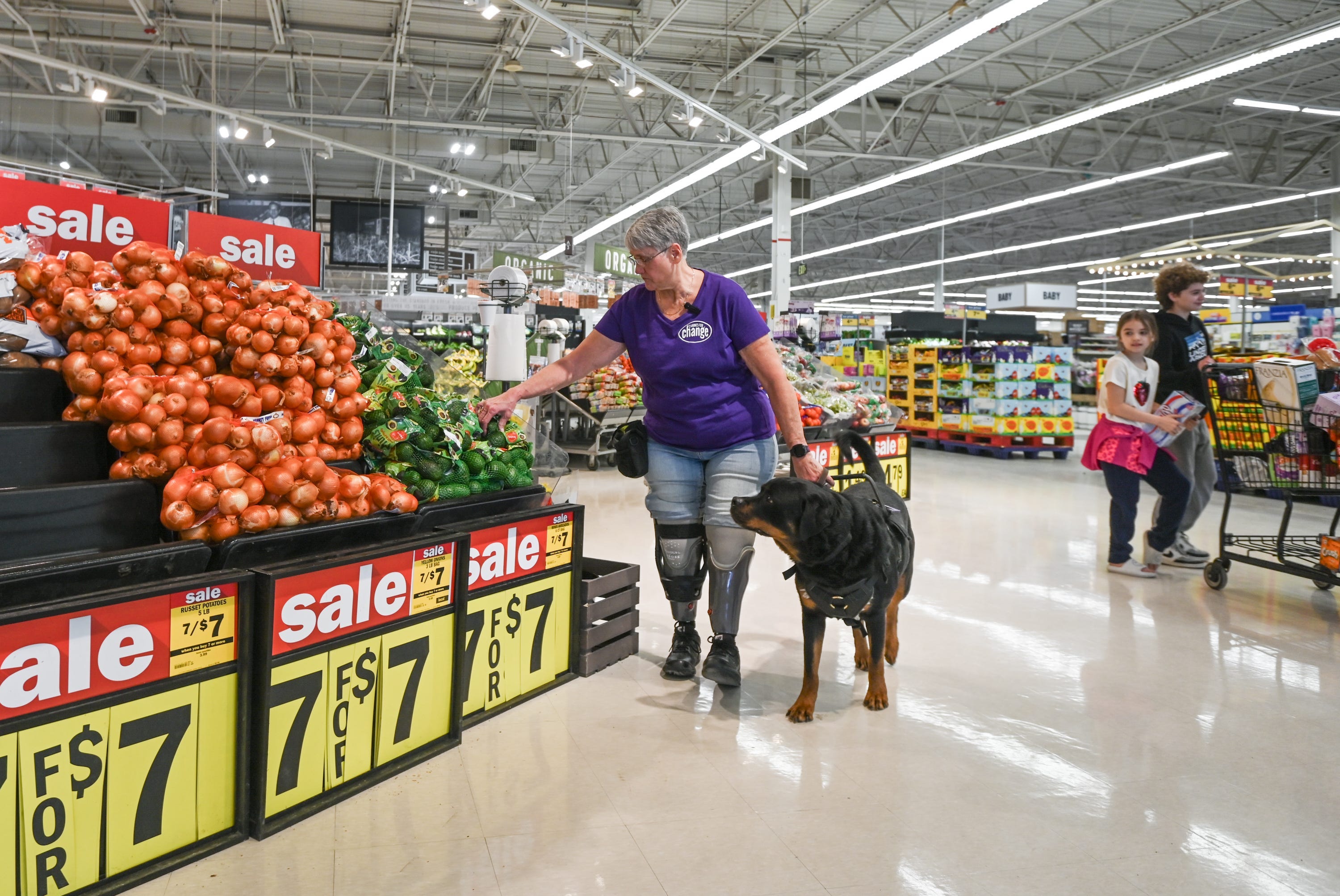 Can you bring your dog to the grocery store in NY? Here’s what the law says
