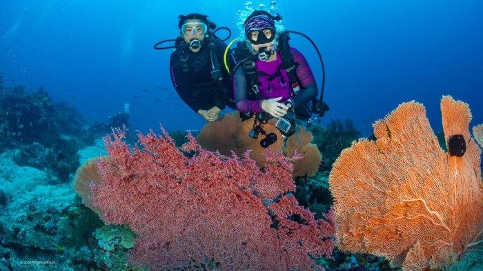 Menjelajahi Surga Laut Banyuwangi: Eksplorasi Spots Spektakuler yang Memukau