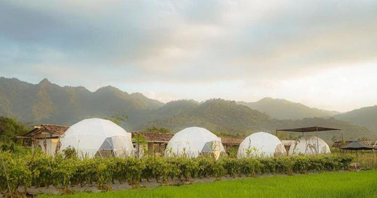 8 Tempat Glamping di Magelang untuk Liburan Penuh Warna!