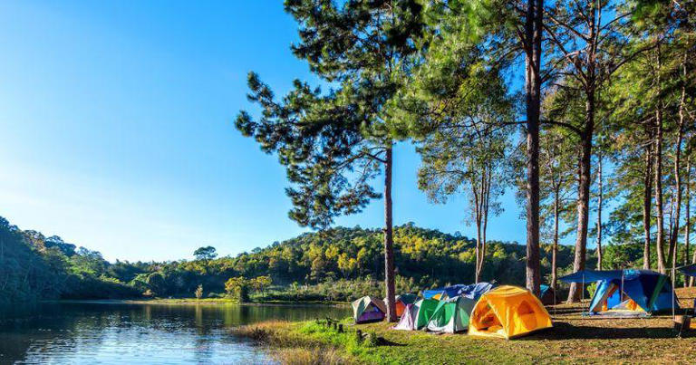 8 Tempat Glamping di Magelang untuk Liburan Penuh Warna!
