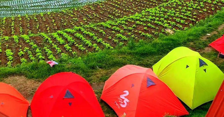 8 Tempat Glamping di Magelang untuk Liburan Penuh Warna!
