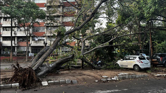 The alert comes just a day after 8.3 mm rain, accompanied by winds going up to 50km/h, was recorded in the city, bringing down trees and branches.