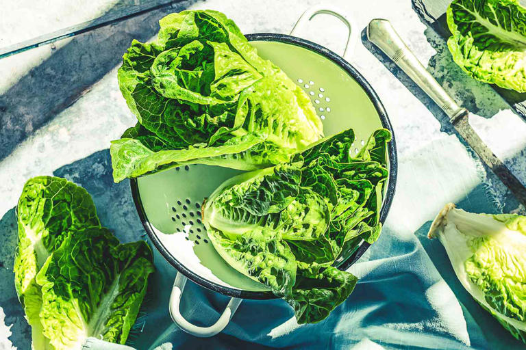 Deadly E. Coli Outbreak Linked to Lettuce Found in 15 States — But FDA