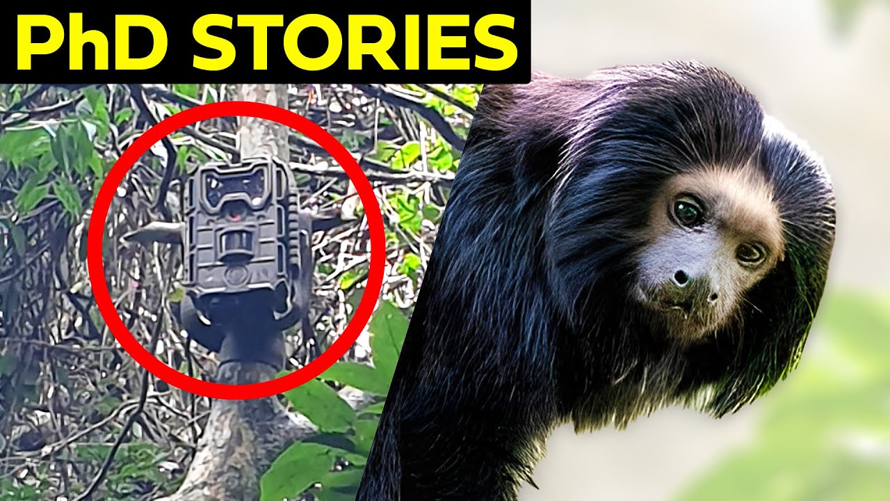 Watch what's saving this tiny monkey from extinction