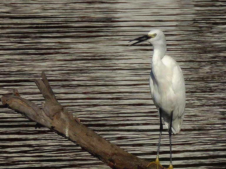 Barry Peacock / How-To Geek