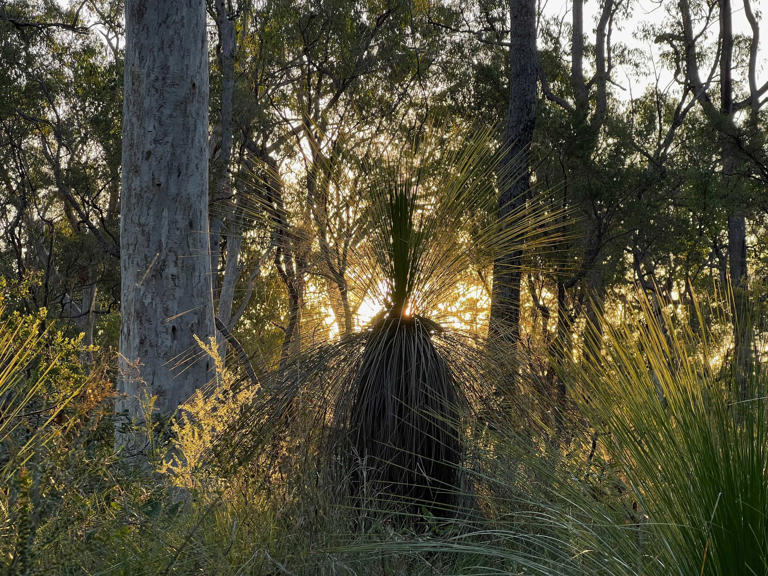 Tim Brookes / How-To Geek