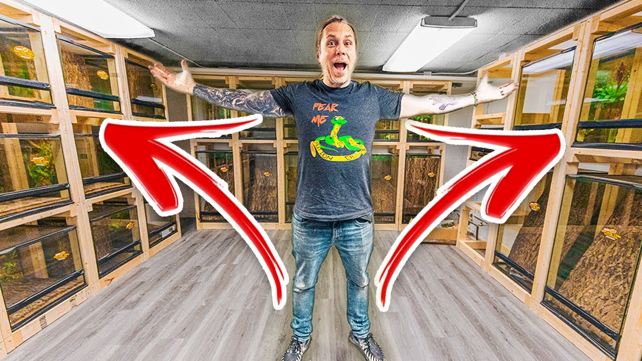Building a brand new gecko room at the Reptarium!