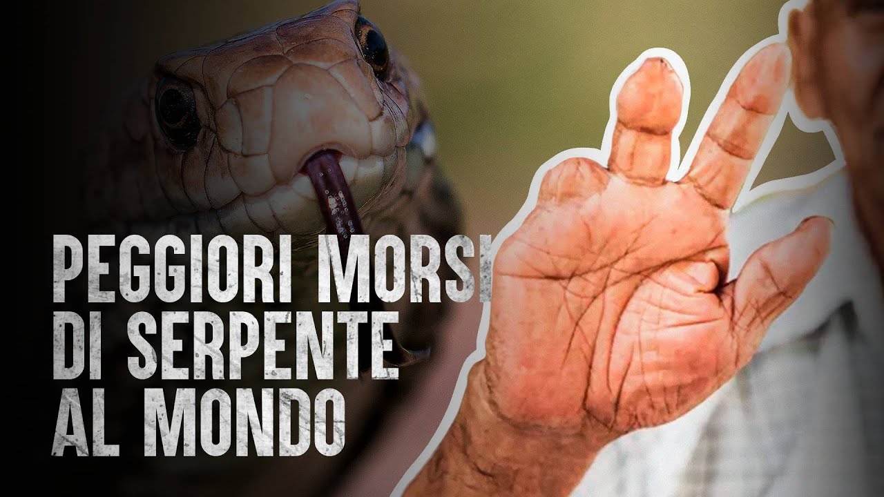 Set Di 2 Dischi Da Taglio Norton Per Seghe Da Taglio Per Metalli 350 X - Foto 5