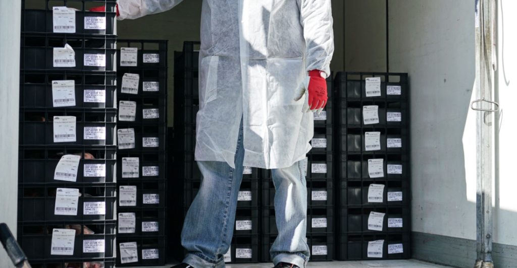 China storniert riesige Schweinefleisch-Bestellung wegen Handelsstreit