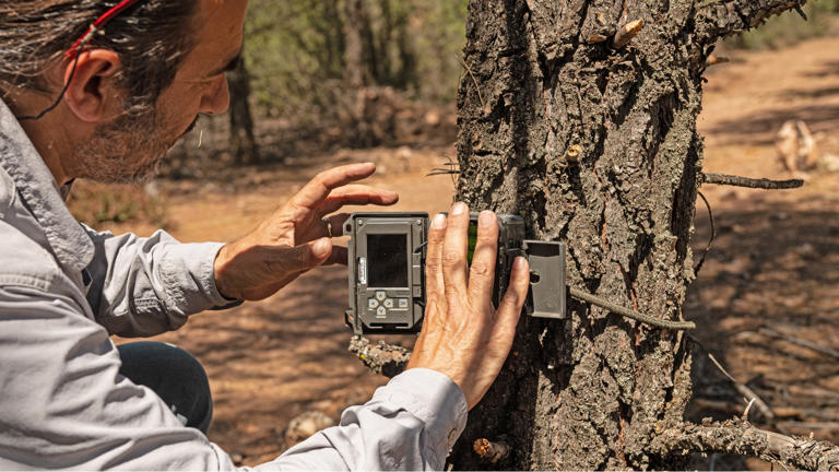 Signs you’re hunting the wrong stand without realizing it