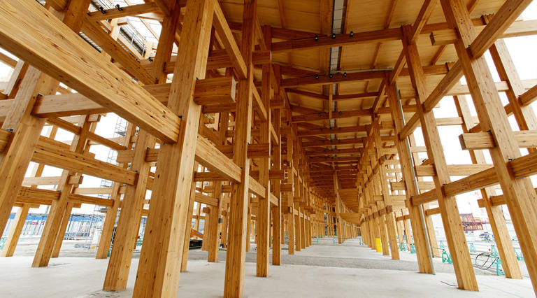 1.2-mile-long world's largest timber structure 'Grand Ring